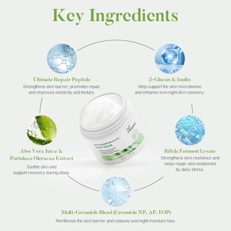 Diagram showing key ingredients of an overnight recovery gel mask: Ultimate Repair Peptide, β-Glucan & Inulin, Aloe Vera Juice & Portulaca Oleracea Extract, Bifida Ferment Lysate, Multi-Ceramide Blend.